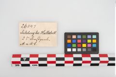 Etikett zu Perlenkette (NHMW-PRAE-026847)